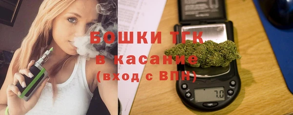 сатива Алзамай