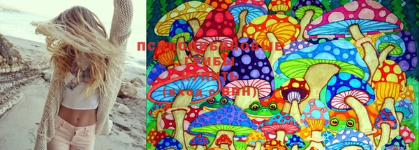 МДПВ Алексеевка