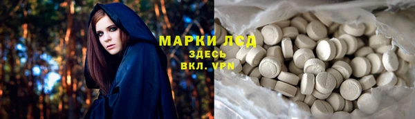 сатива Алзамай