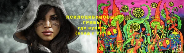 МДПВ Алексеевка