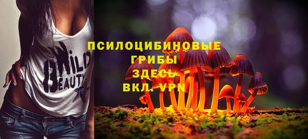 МДПВ Алексеевка
