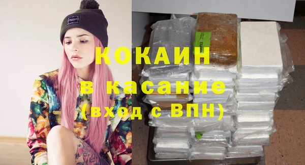 сатива Алзамай
