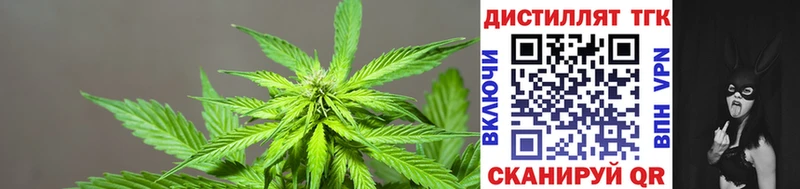 Дистиллят ТГК Wax  Красногорск 