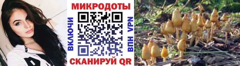 hydra ссылки  Красногорск  Галлюциногенные грибы прущие грибы 