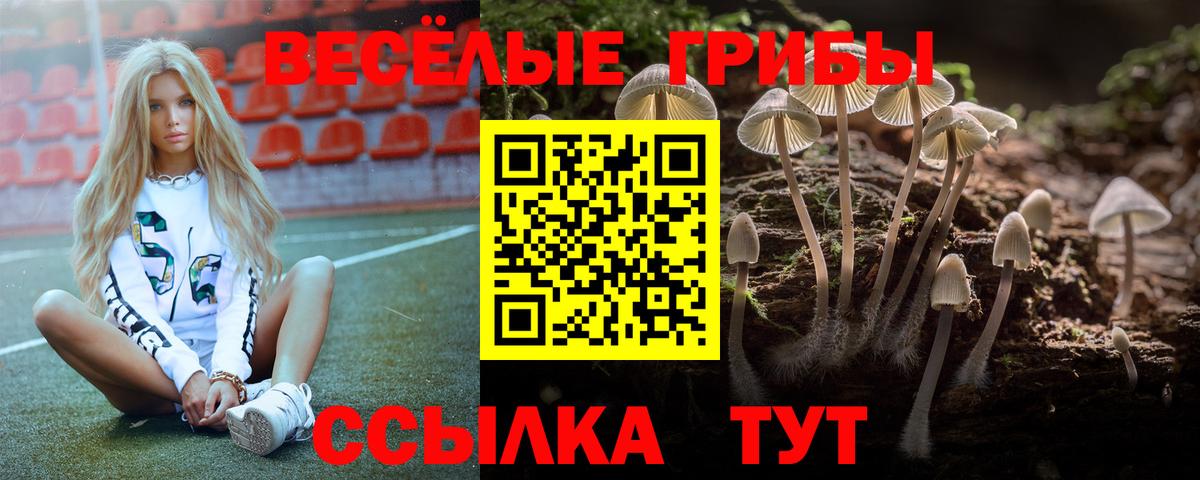 Псилоцибиновые грибы мухоморы  Вход с VPN  Галлюциногенные грибы ЛСД  Красногорск 