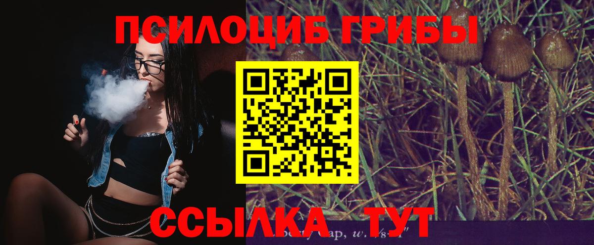 Псилоцибиновые грибы MAGIC MUSHROOMS Красногорск