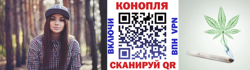 Бошки Шишки THC 21%  кракен ссылки  Красногорск  купить наркотик 